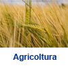 Agricoltura