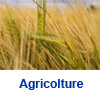 Agricolture