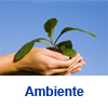 Ambiente (1)